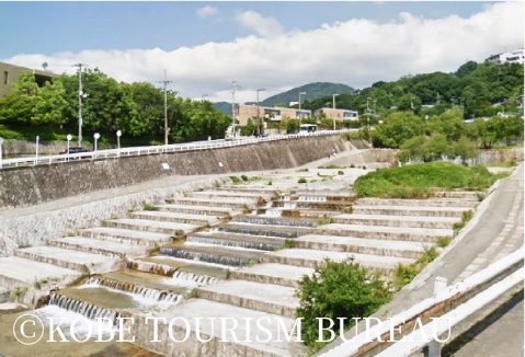 清流の道公園