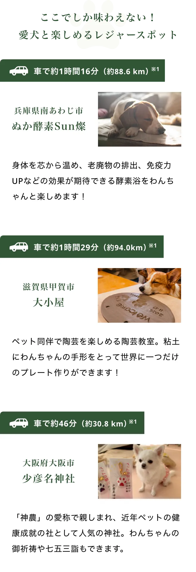ここでしか味わえない！ 愛犬と楽しめるレジャースポット