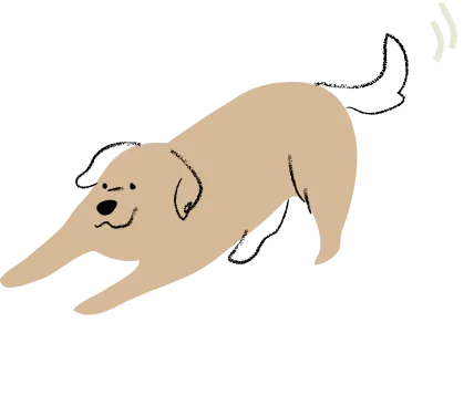 茶色い犬