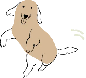 茶色い犬