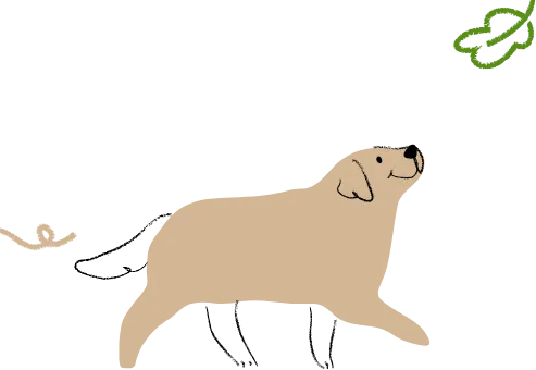 茶色い犬