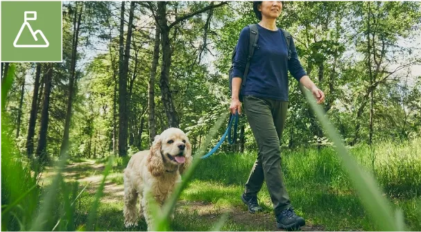 犬とハイキング