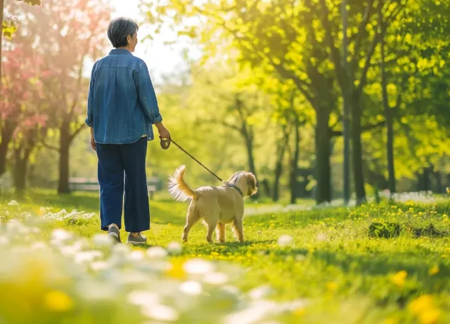 ゆずり葉台の自然と犬