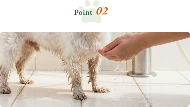 ペットバス