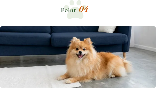 犬も快適な土間リビング
