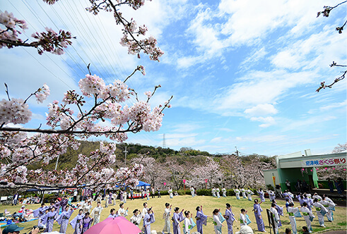 摂津峡さくら祭り