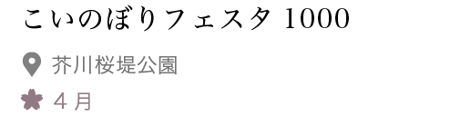 こいのぼりフェスタ1000