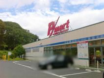 Pマート山田店