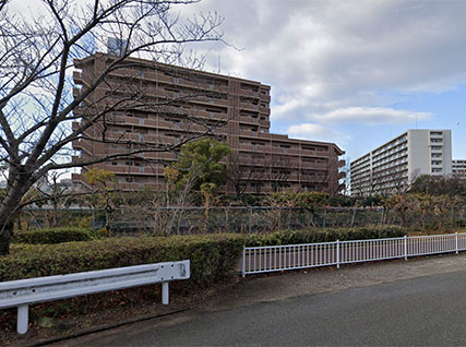 庄下川沿いの桜並木（尾浜町付近）