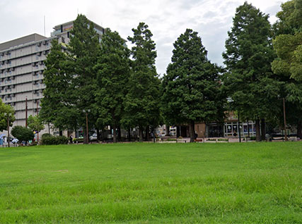 中央公園