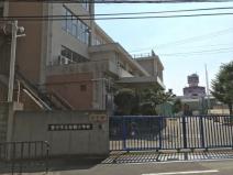 小学校