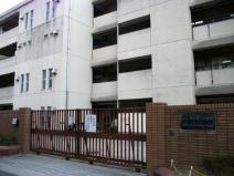 小学校